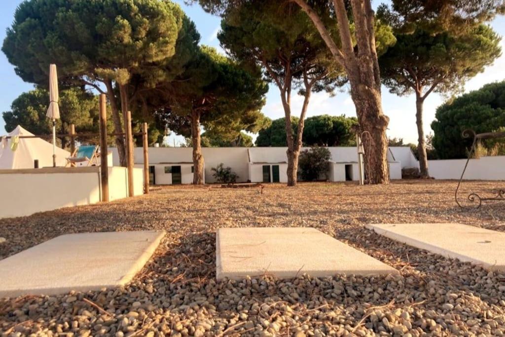 Cadiz - Buda, Acogedor Apartamento En Chiclana De La Frontera, Espana Exterior foto